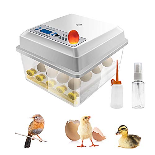 Inkubator Safego za inkubaciju jaja, Digitalni Mini-Inkubator sa automatskim токарным strojem i tester Bjelanjak