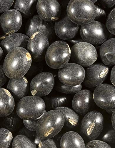 Farma Шилоха - Organske crne soje 2 pakiranje od 15 ml svaka