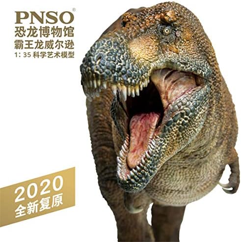 Lana Igračke PNSO 135 Тираннозавр Rex Wilson je Lik Realan Тираннозавр Тираннозавриды Dinosaur PVC Collectible
