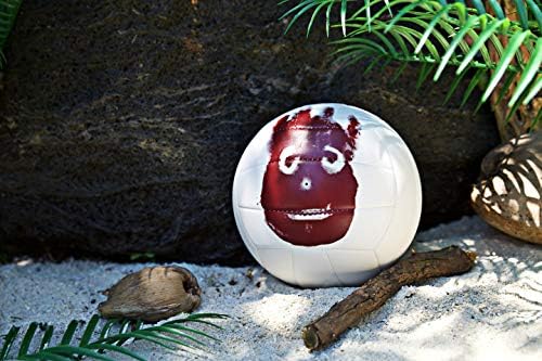 Wilson Je Odbio Na Pijesku