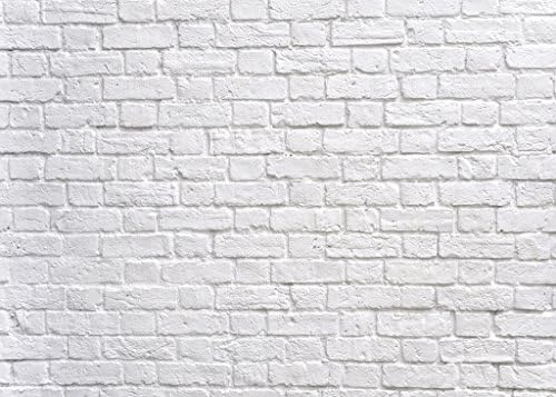 DULUDA 9X6 Metara Bijeli Zid od Opeke Bešavne Živopisna Tkanina Pojedinačne Fotografije, Pozadina je Pozadina