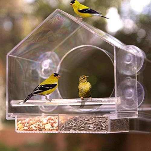Prozor ulagač za ptice od Nature u svakom mjestu s pomičnim držačem sjemena i 4 Vrlo robustan odojak. Veliki