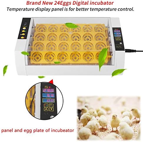 Inkubator Za Jaja, 24 Jaja Automatski Inkubator Za Inkubaciju Digitalnu Kontrolu Temperature Inkubatora Za Piliće