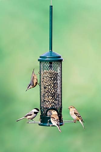 Mini-ulagač za ptice sa zaštitom od Proteina i Proteina sa 4 Metalne окунями, kapacitet za sjeme 0,98 kilograma