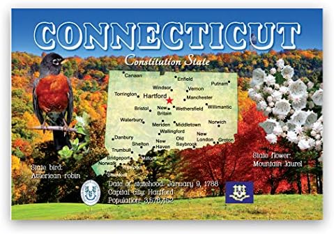 Set razglednica za KARTICE CONNECTICUT od 20 identičnih razglednica. Razglednice sa karticom državi Connecticut.