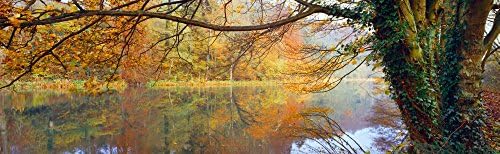 Odraz jesenje stabala u kanalu Stroud Gloucestershire, England, Tisak plakata (27 x 9)