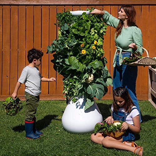Kit Hidroponski sustavi za uzgoj salate na 36 biljaka, Vanjska natkrivena Vertikalni Vrt toranj za uzgoj povrća i ljekovitog bilja, Veliki Kućni organsko vrtlarstvo s самополивом sa pumpom, bez BPA i prehrambene kvalitete