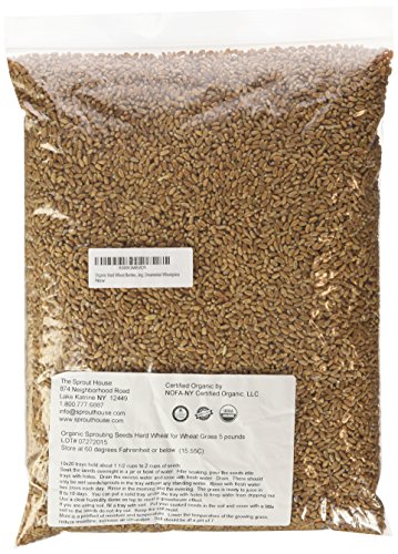 The Sprout House Certificirani bez GMO Organske Bobice Durum Pšenice za Sok od Pirevina - 5 Funti Pirevina;