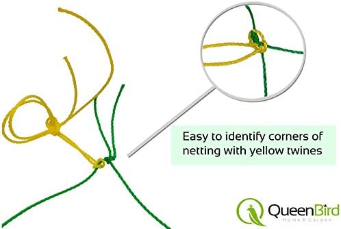 Решетчатая mreže QueenBird - Čvrsta Vrtna решетчатая mreža za penjanje biljaka - 5,9 X 16,4 Ft-Vrlo čvrst oslonac