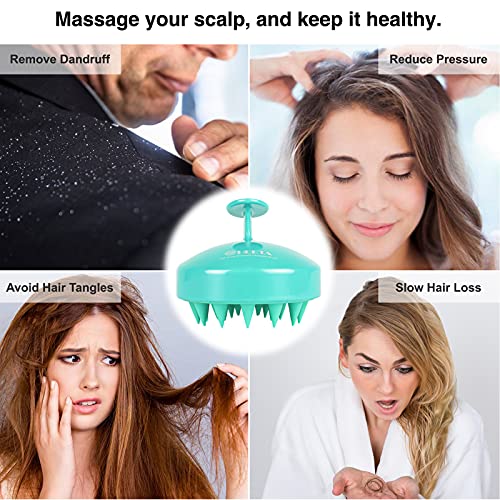 Četka za šampon HEETA 2-Pack Hair Epower Massager-Napredni Četke za kosu i kožu glave Četka za kosu za vlažne