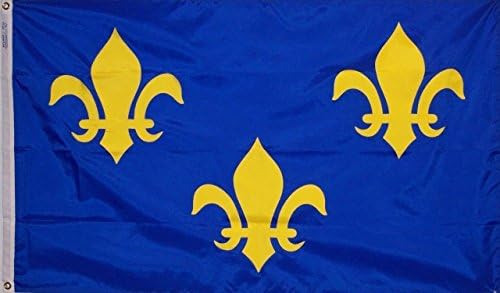 New Orleans Fleur De Lys Plava Zastava Banner 5X8 Metara 5 Metara X 8 Metara 150 D Super Poli